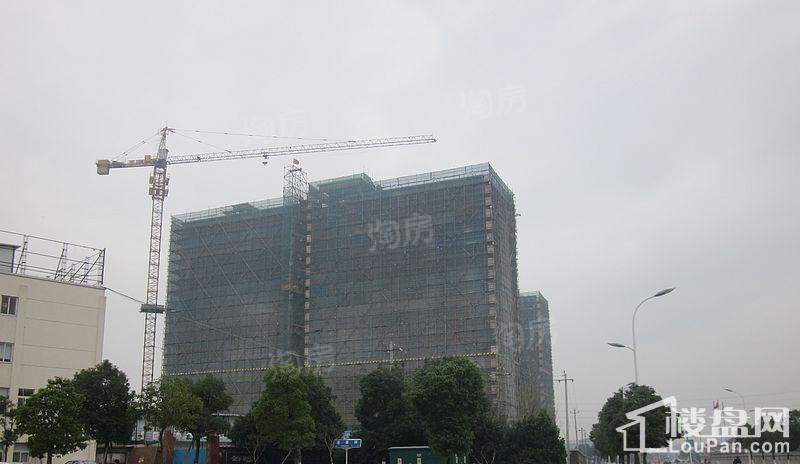 金丰紫园实景图