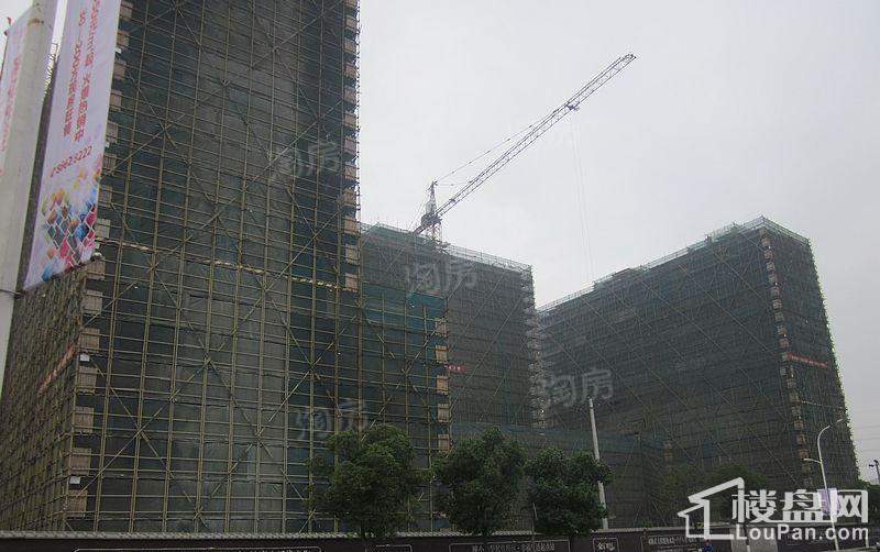 金丰紫园实景图