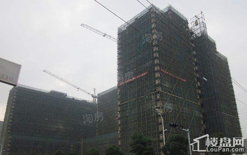 金丰紫园实景图