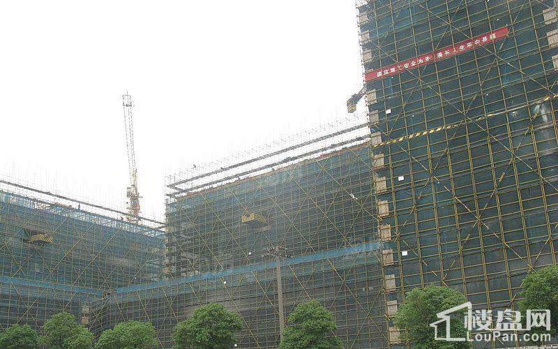 金丰紫园实景图