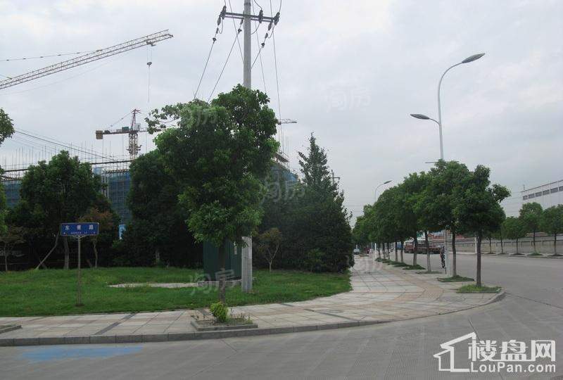 金丰紫园实景图