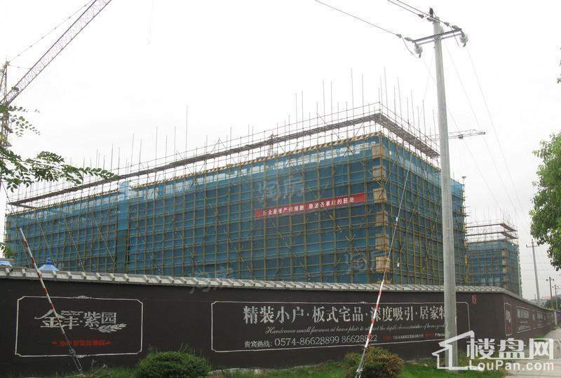 金丰紫园实景图