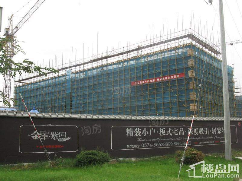 金丰紫园实景图