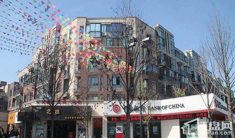 金丰紫园配套图