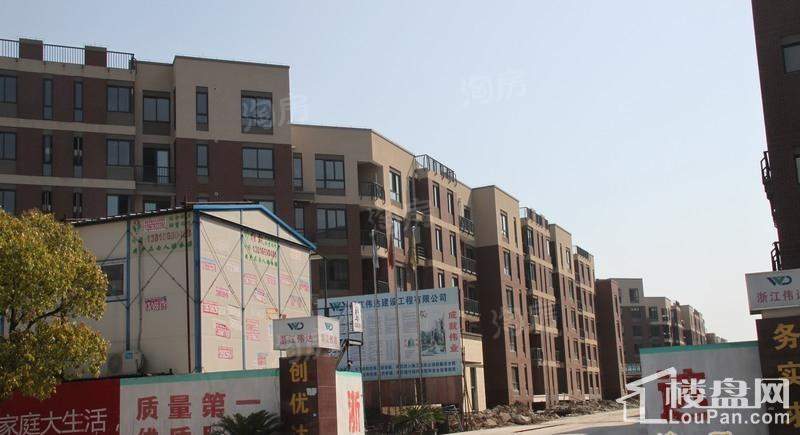金丰紫园配套图