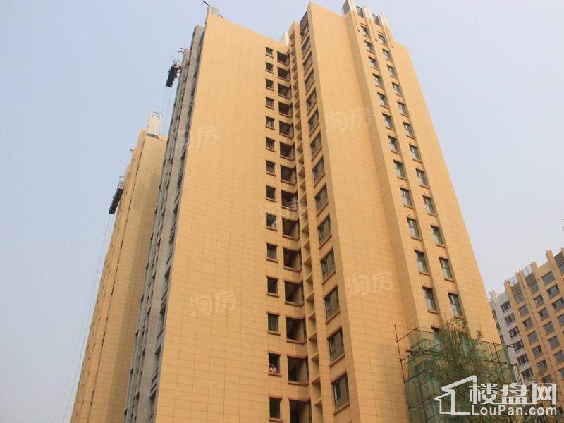 舜兴东方实景图