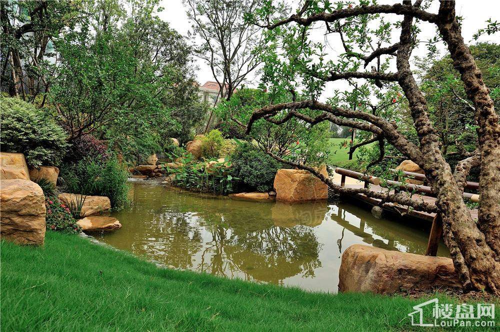 保集湖海塘庄园实景图