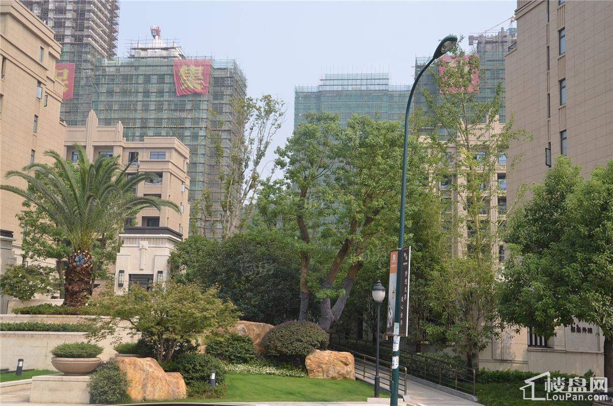 保集外滩实景图