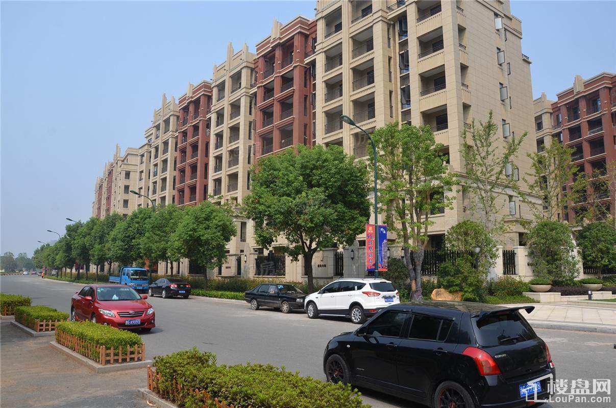 保集外滩实景图