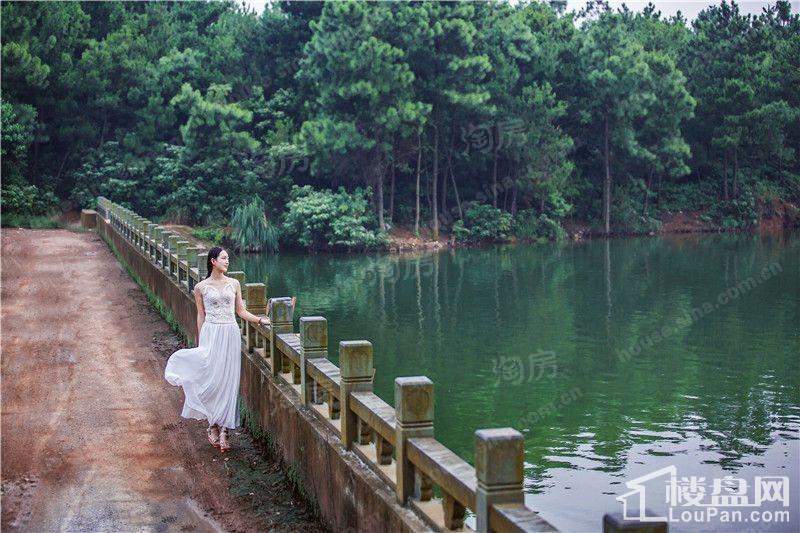 缤虹星城配套图