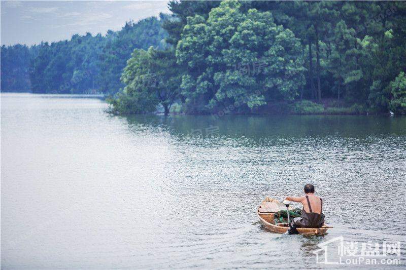 缤虹星城配套图