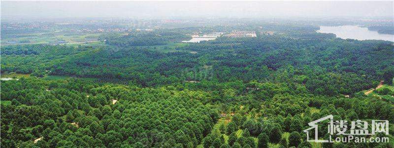 缤虹星城配套图