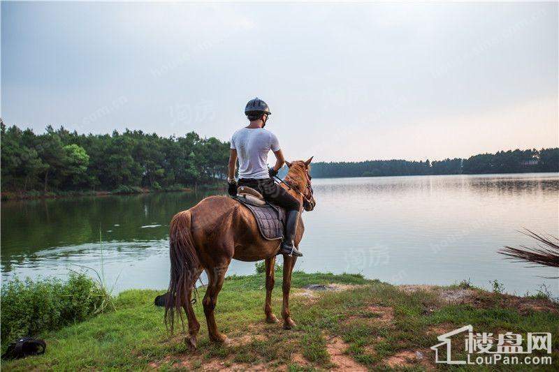 缤虹星城配套图