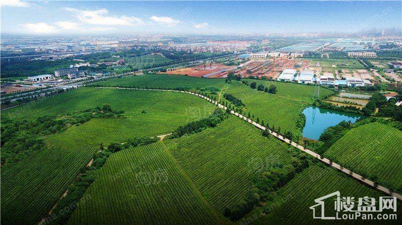 缤虹星城配套图