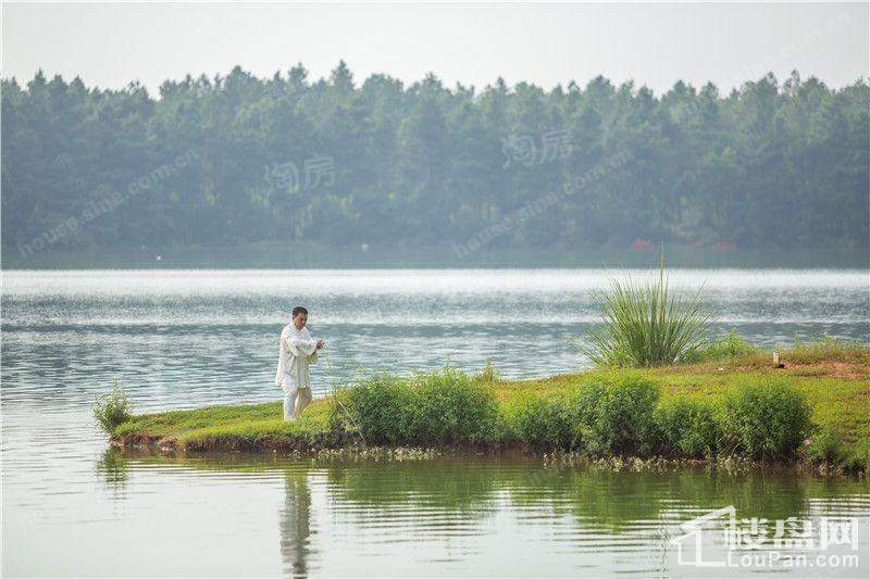 缤虹星城配套图