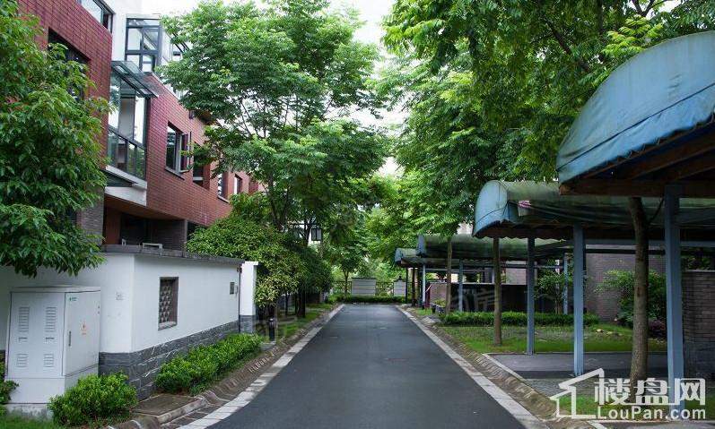 双溪源璞境实景图