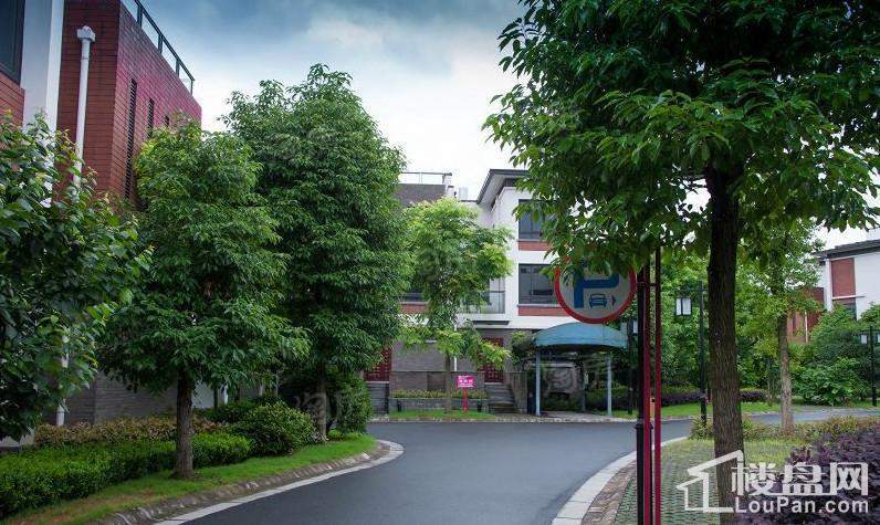 双溪源璞境实景图