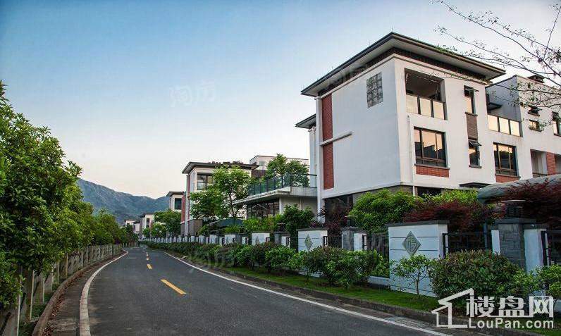 双溪源璞境实景图