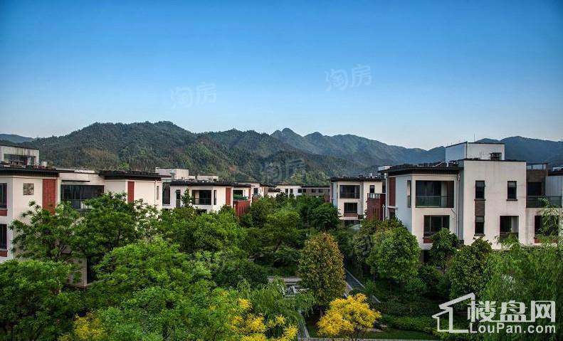 双溪源璞境实景图