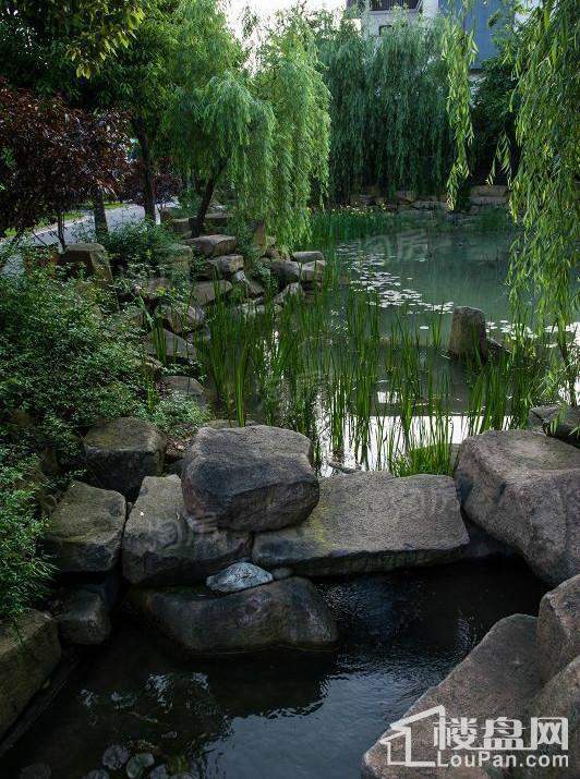 双溪源璞境实景图