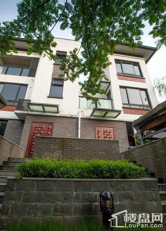 双溪源璞境实景图