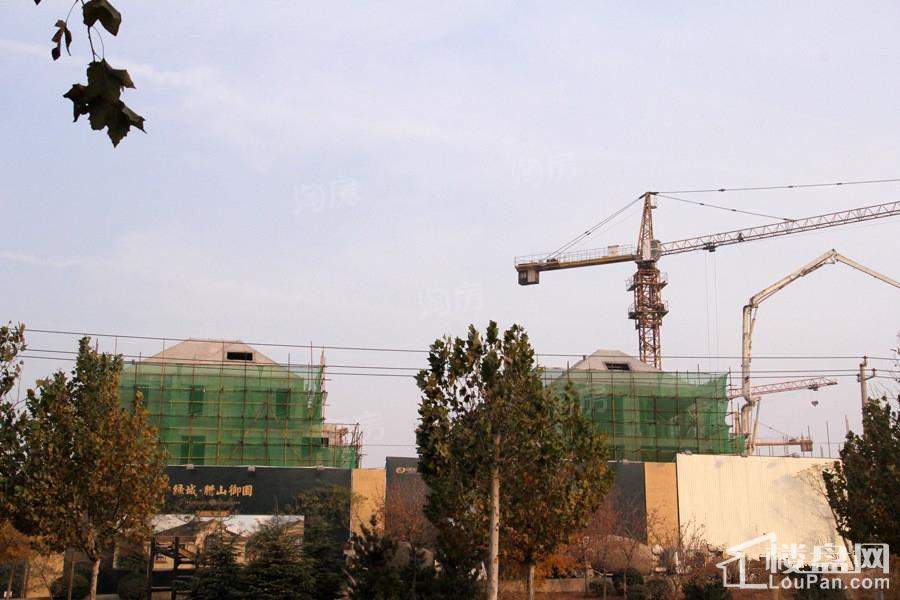 绿城腊山御园实景图