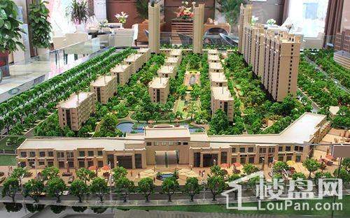 双虎华域名城实景图