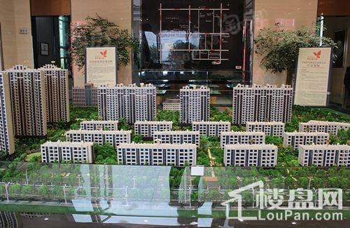 双虎华域名城实景图