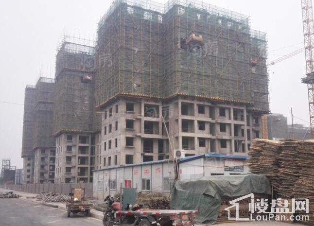 实景图