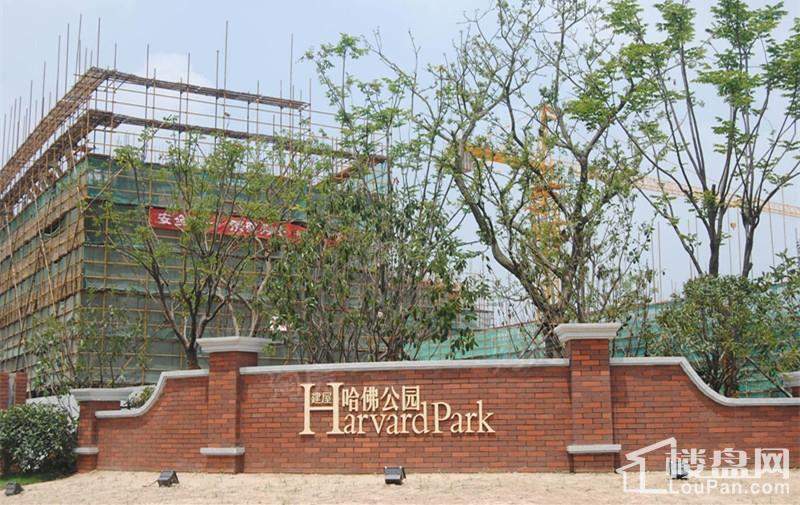 建屋·哈佛公园实景图