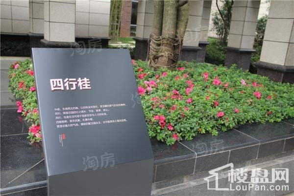 大汉汉园实景图
