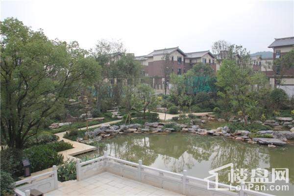 大汉汉园实景图
