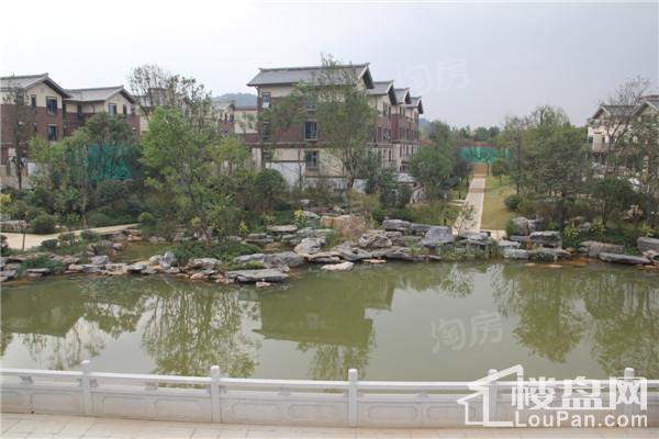 大汉汉园实景图