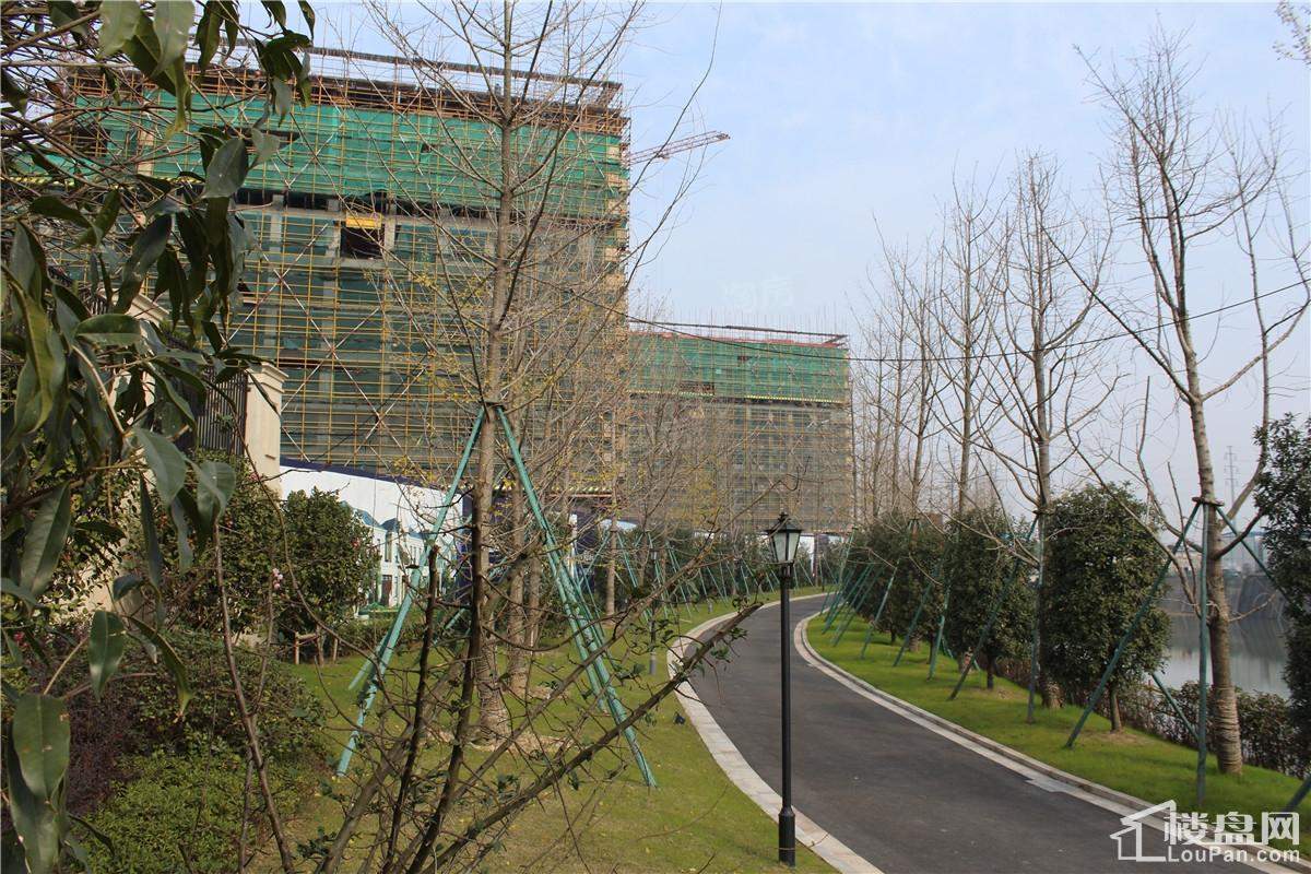 蔚蓝海岸实景图