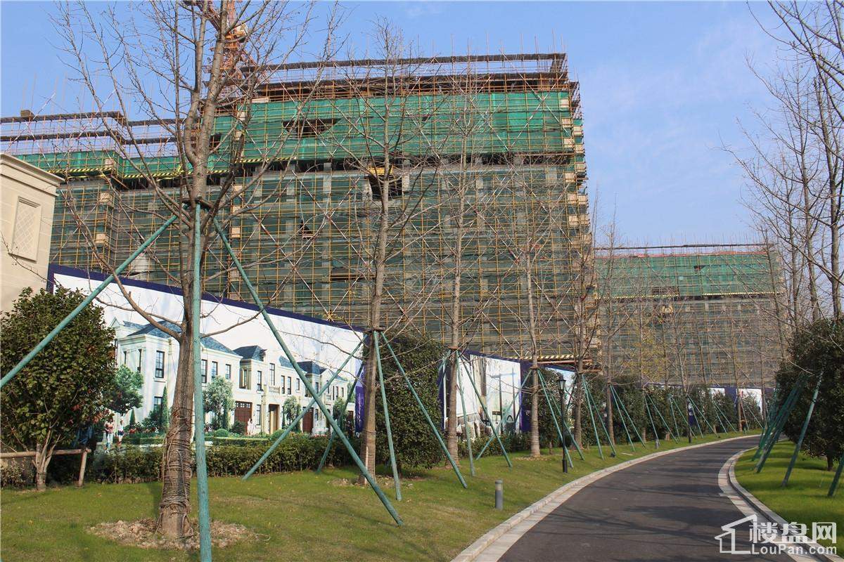 蔚蓝海岸实景图