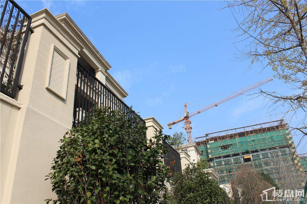 蔚蓝海岸实景图