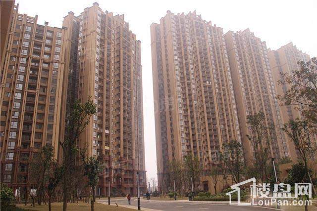 观府壹号实景图