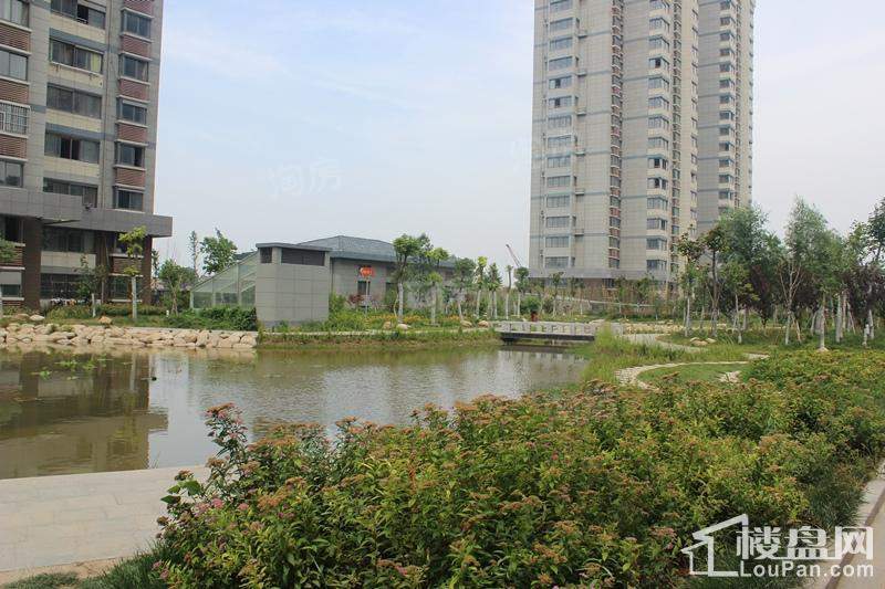 春晓金水湾实景图