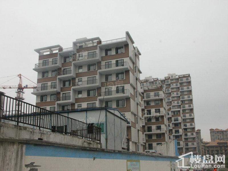 实景图