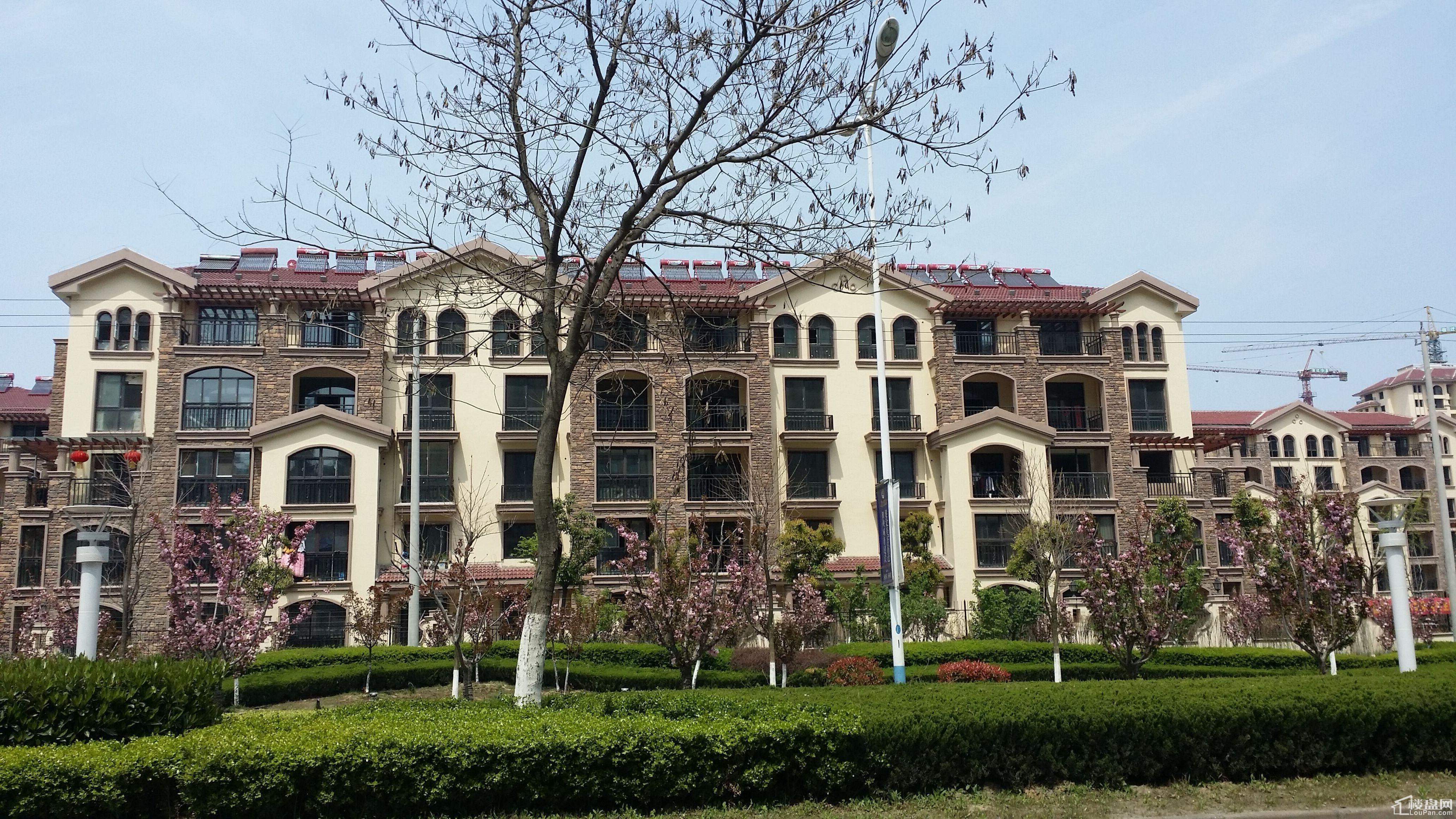 江南水岸实景图