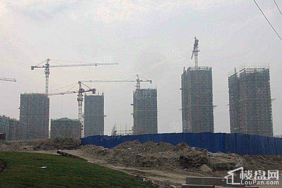 实景图