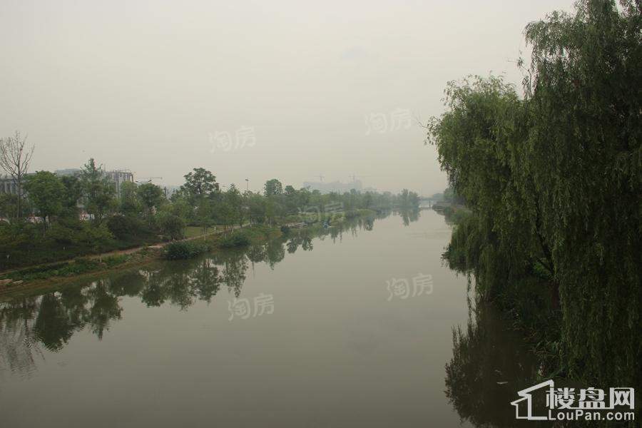 欧美金融城配套图