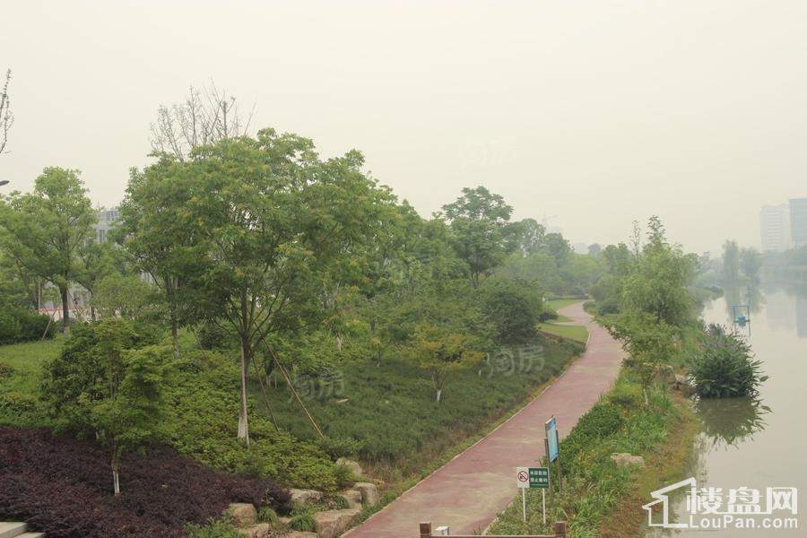 欧美金融城配套图