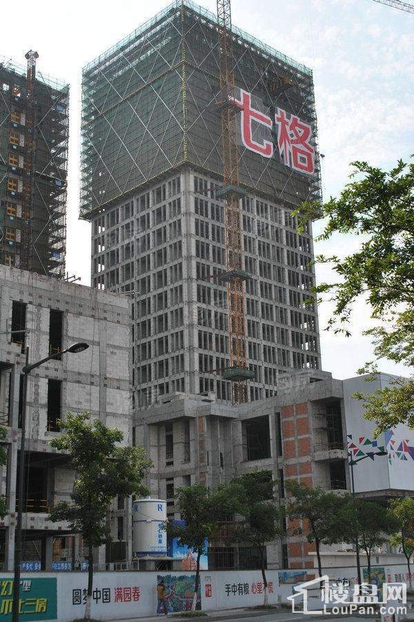 西溪永乐城实景图