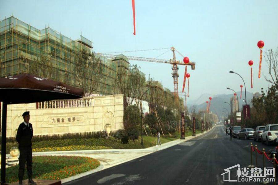 九龙仓雍景山实景图