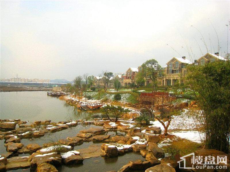 绿城桃源小镇实景图