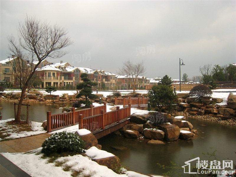 绿城桃源小镇实景图