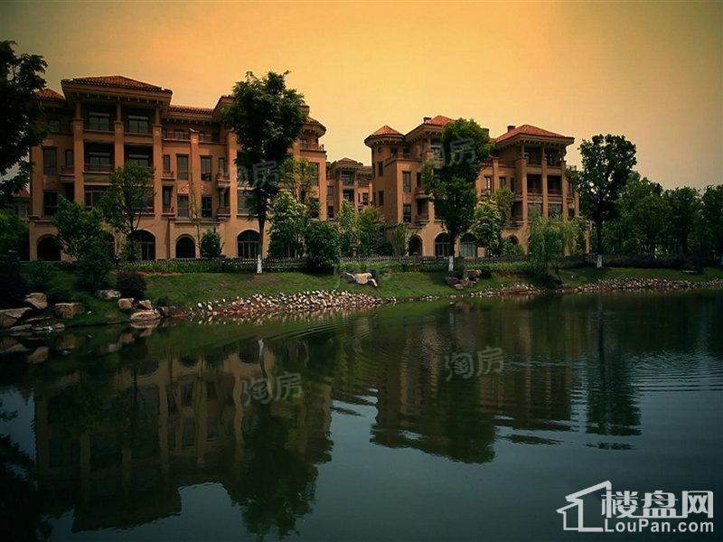 绿城桃源小镇实景图