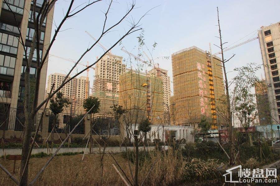 绿城运河宸园实景图