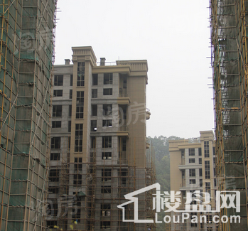 保利·西江林语实景图